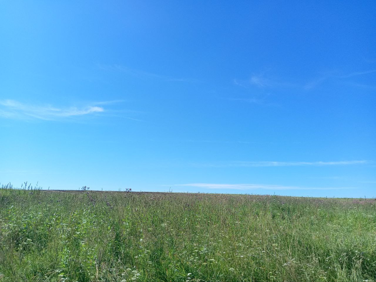 Лето в Красноярском крае