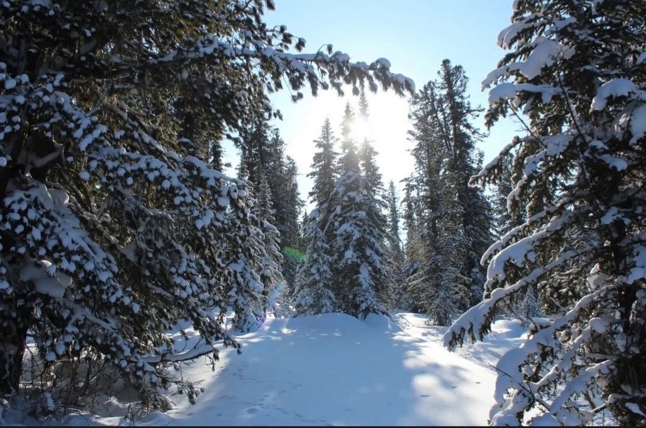 Природный парк Ергаки