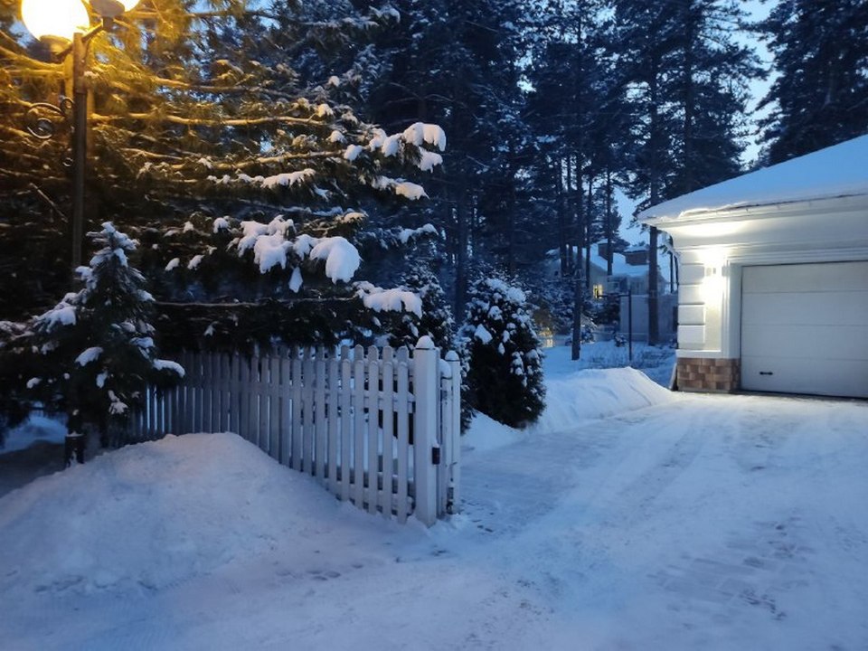 Последний участок в элитных «Соснах» выставили на продажу