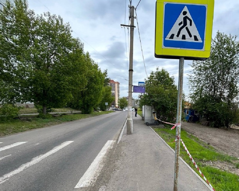 Деревья в Боготольском переулке