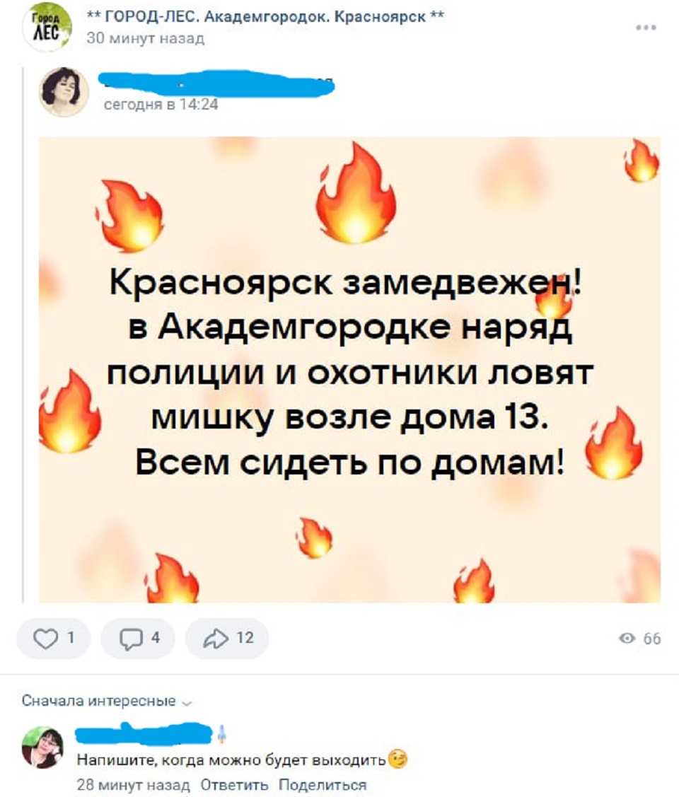 Сообщение о медведе