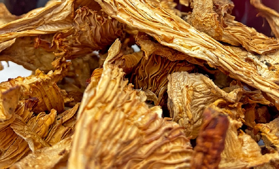 Сушеные грибы лисички
