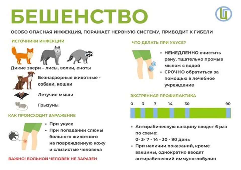 Плакат о бешенстве