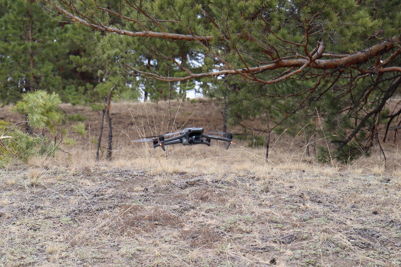 За обстановкой в лесу следят десятки дронов