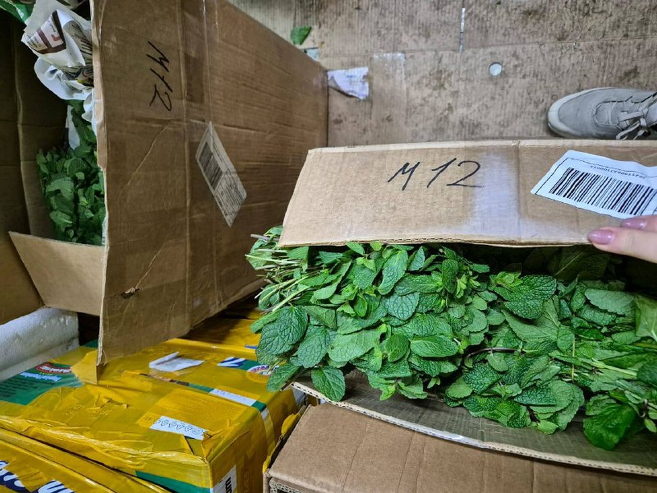 Зелень из Армении