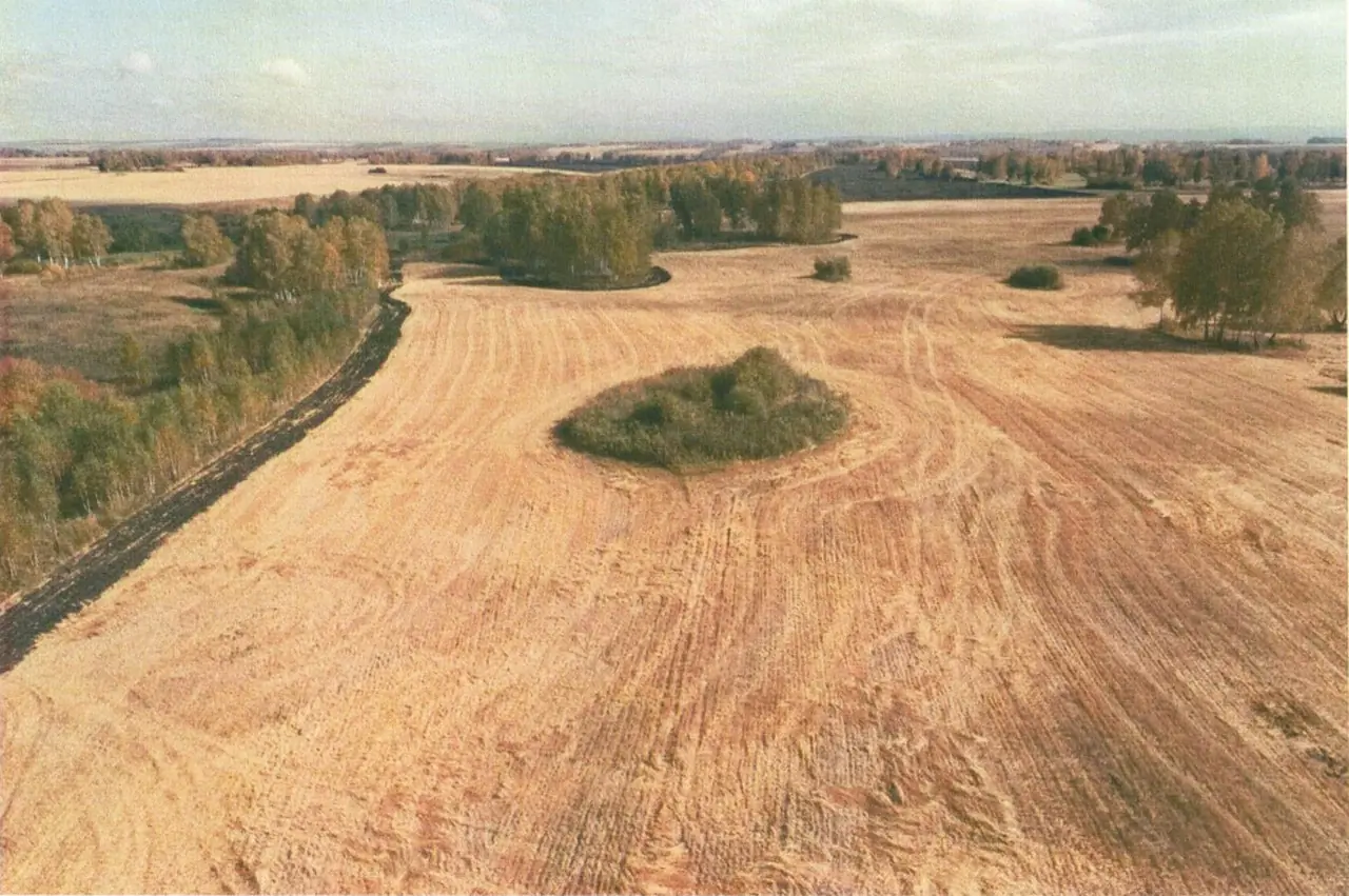 Два кургана в крае включили в госреестр памятников археологии