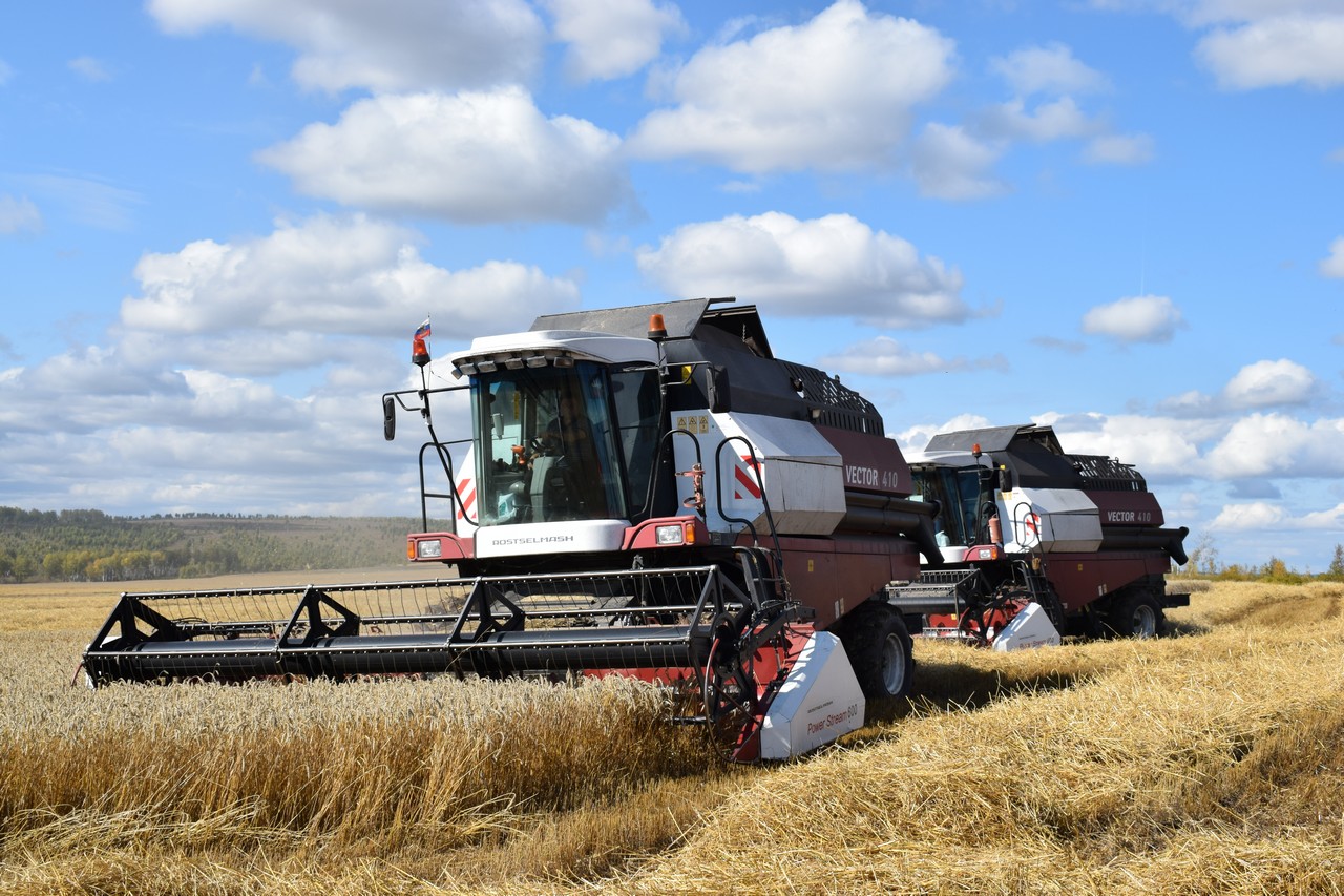 Уборочная кампания в Красноярском крае