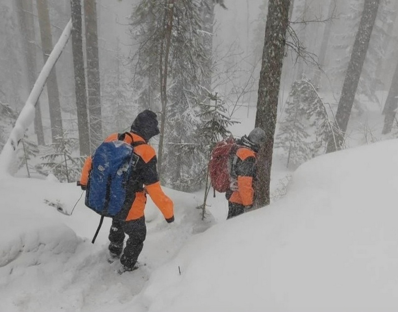 Пропавший на Столбах мужчина до сих пор не найден