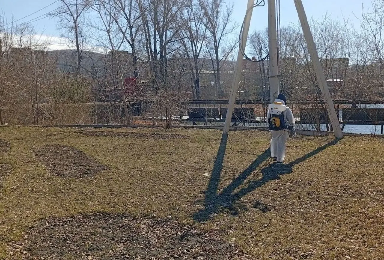 В Красноярске стартовала обработка от клещей