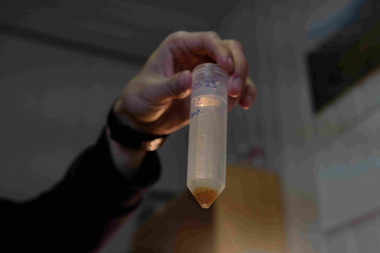 Красноярские ученые переписали озера Шира и Шунет