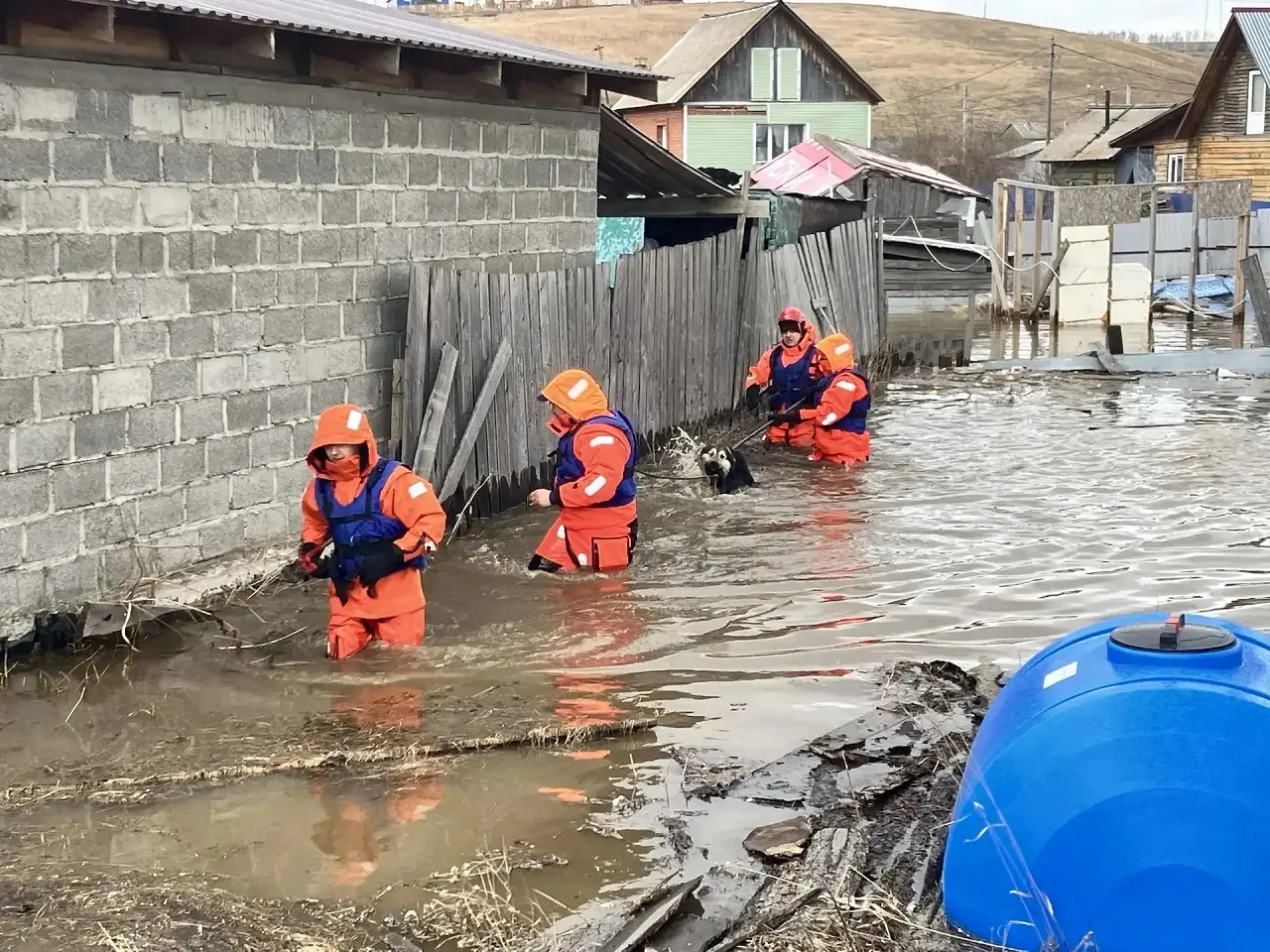 Затопление в Логовом