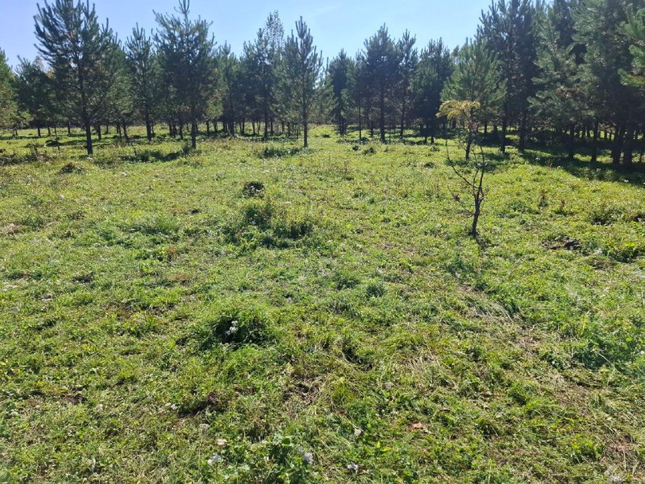 Участки в заказнике «Кебежский» вернули в собственность края