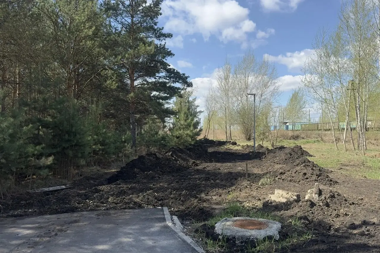 В Красноярске начали благоустраивать «Преолес»