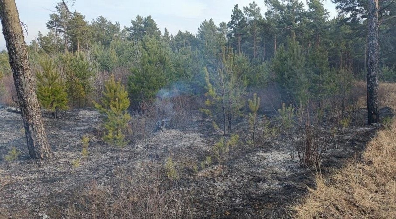 На юге Красноярского края потушили первый в этом году лесной пожар
