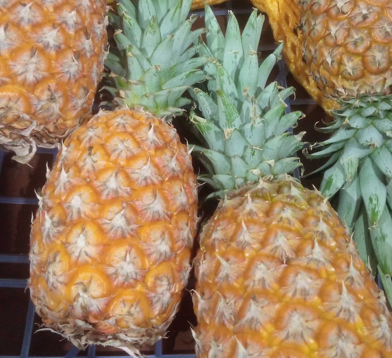 В Красноярск не дали ввезти зараженные фрукты и овощи из Китая