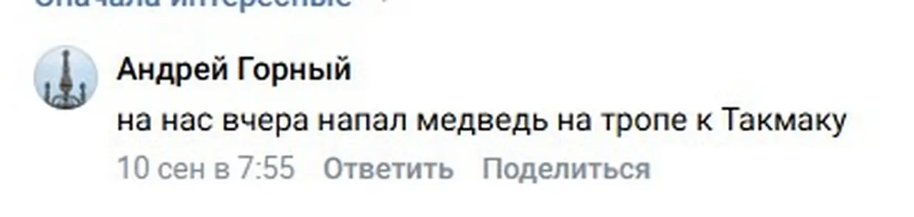 Сообщение о нападении медведя
