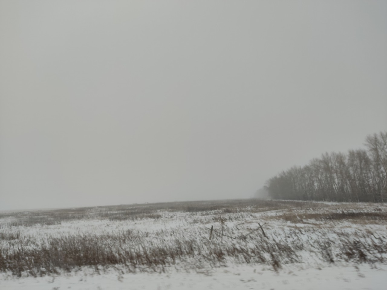 Дороге в Солнечный нашли корректировщика