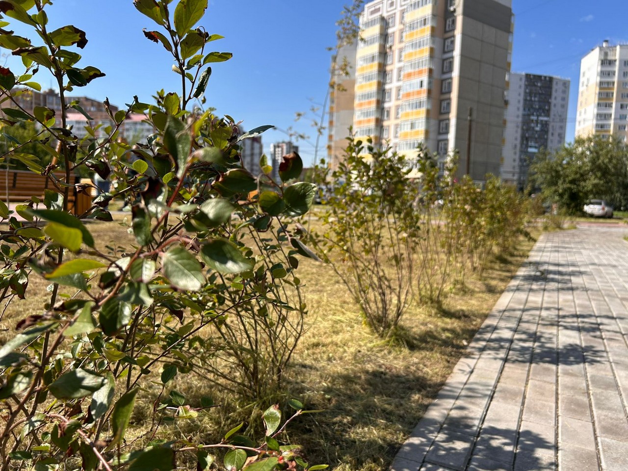 Городскую инфраструктуру обновляют по КРТ в Красноярске