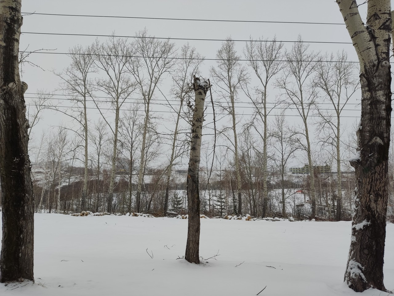 Дороге в Солнечный нашли корректировщика