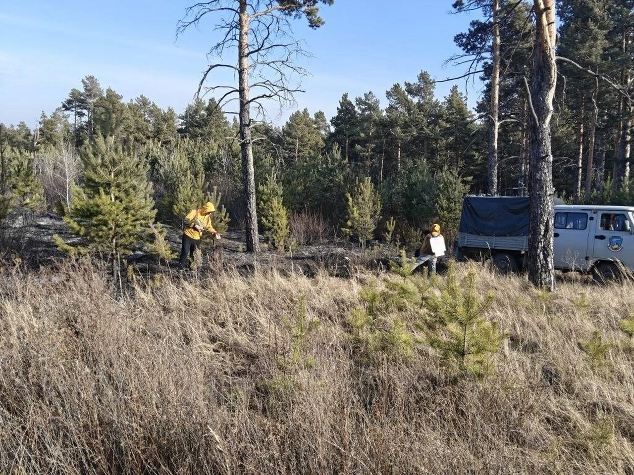 На юге Красноярского края потушили первый в этом году лесной пожар