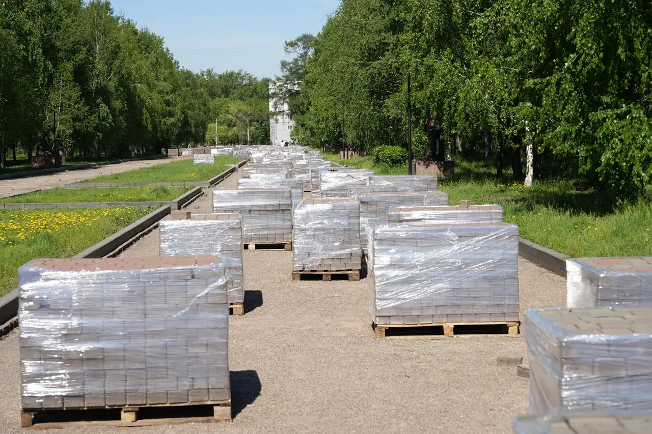 Подрядчикам запретили вырубать деревья в скверах Красноярска