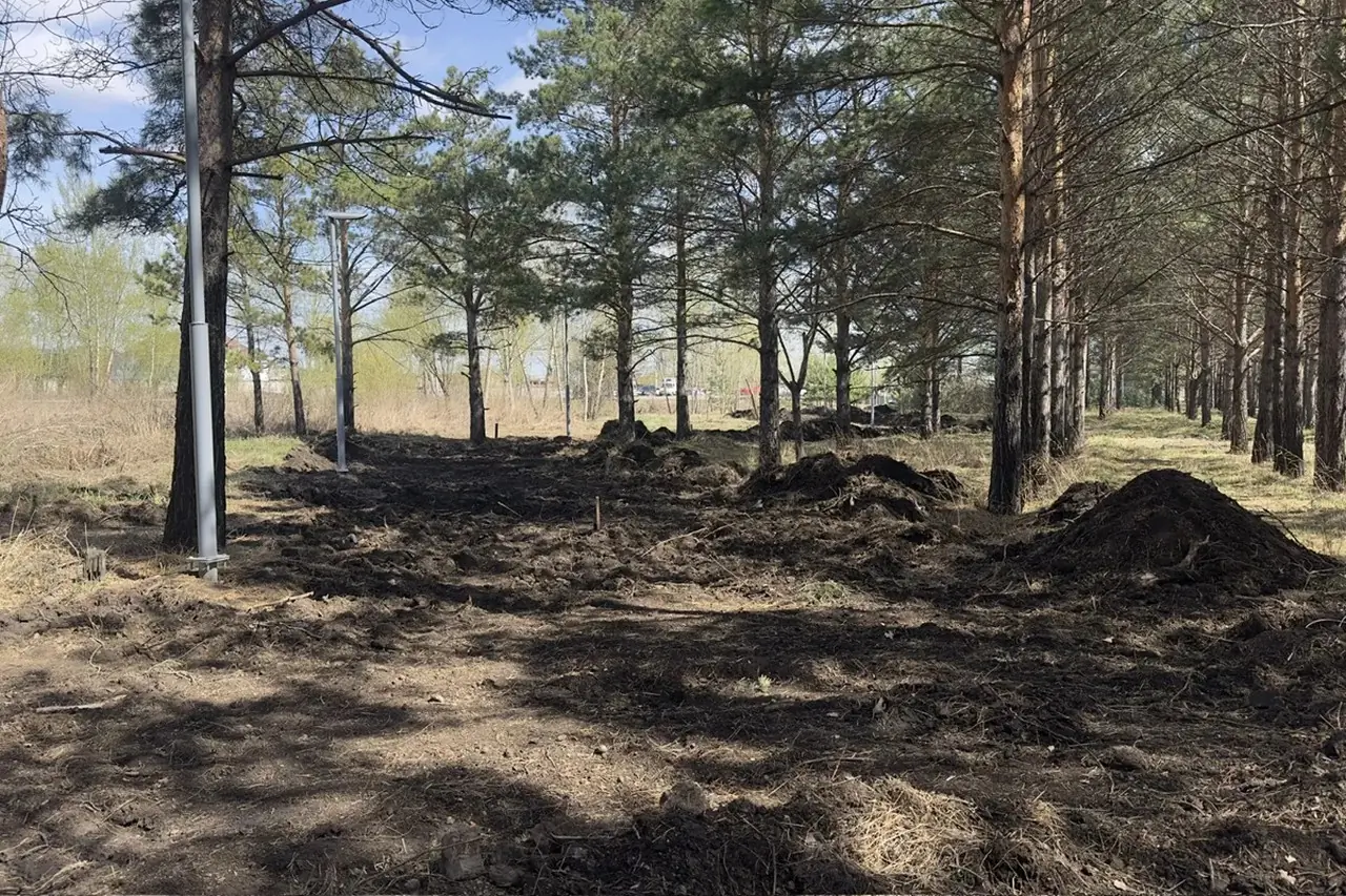 В Красноярске начали благоустраивать «Преолес»