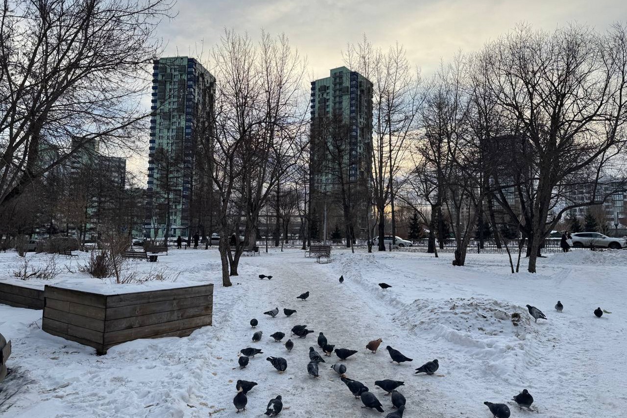 В Красноярске благоустроят два сквера на Копылова