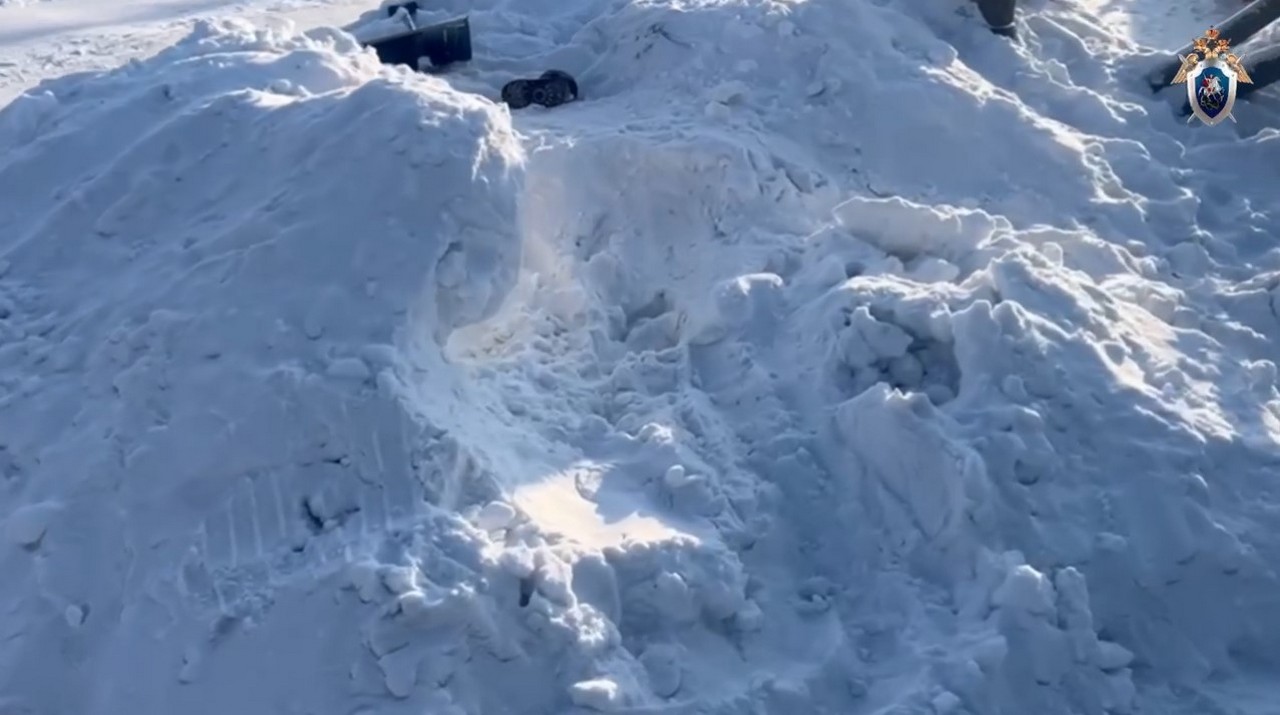 Девочка погибла в снежном сугробе Березовке