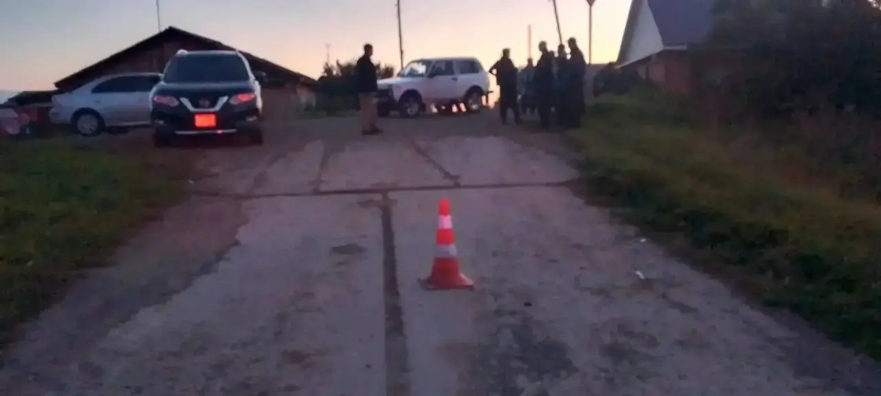 Пьяный бесправник насмерть сбил ребенка в Шалинском