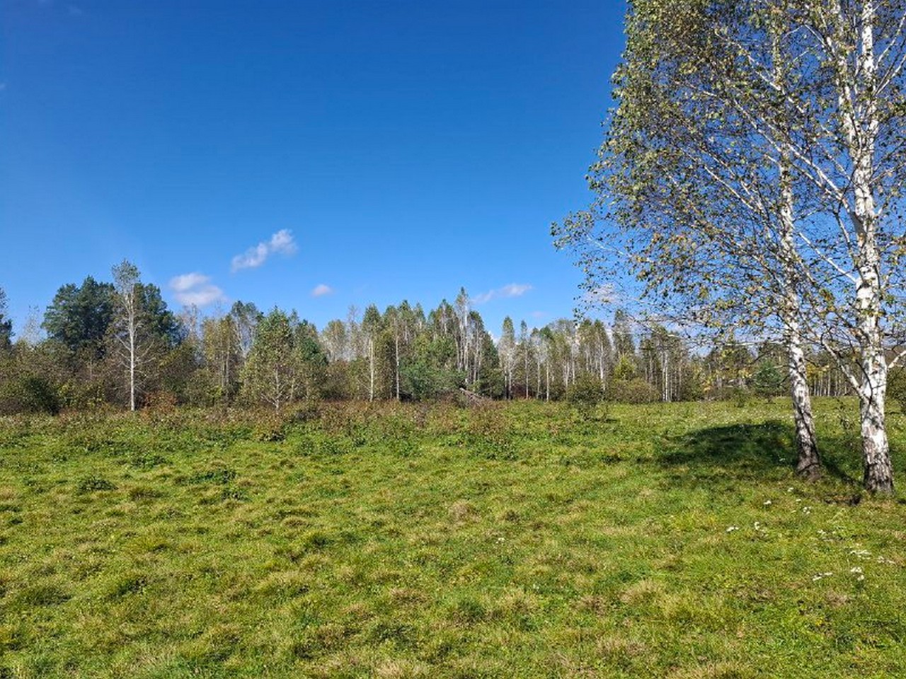 Участки в заказнике «Кебежский» вернули в собственность края