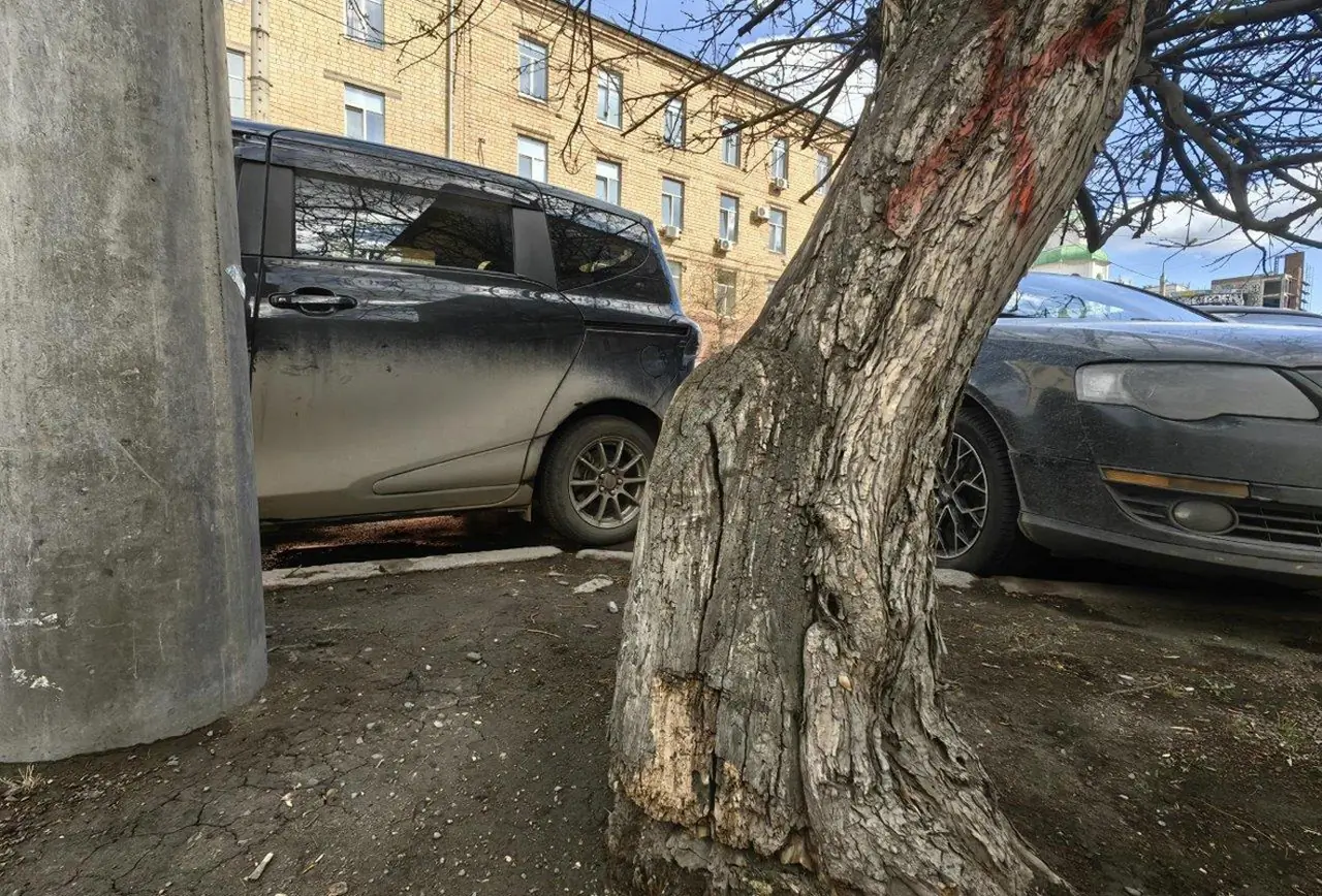 На Сурикова в Красноярске начались раскопки и благоустройство