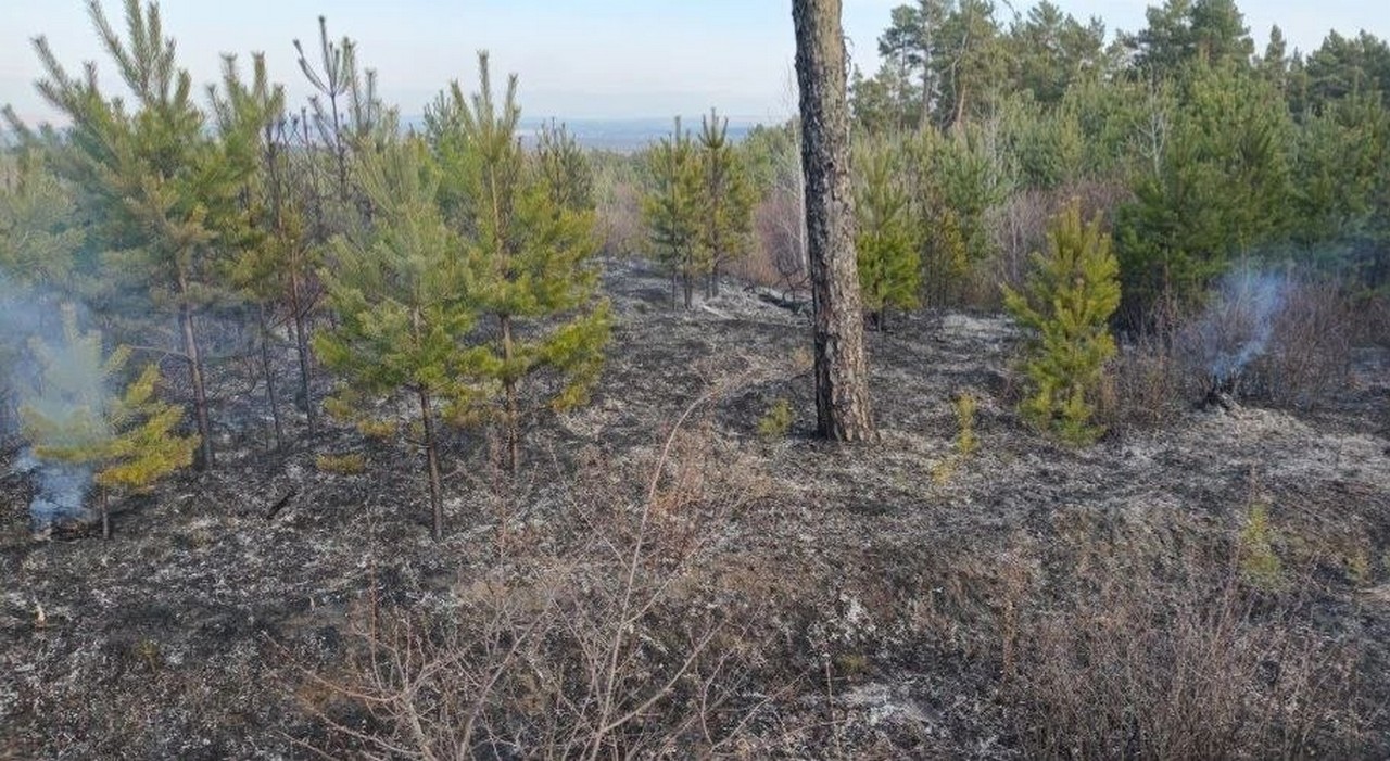 На юге Красноярского края потушили первый в этом году лесной пожар