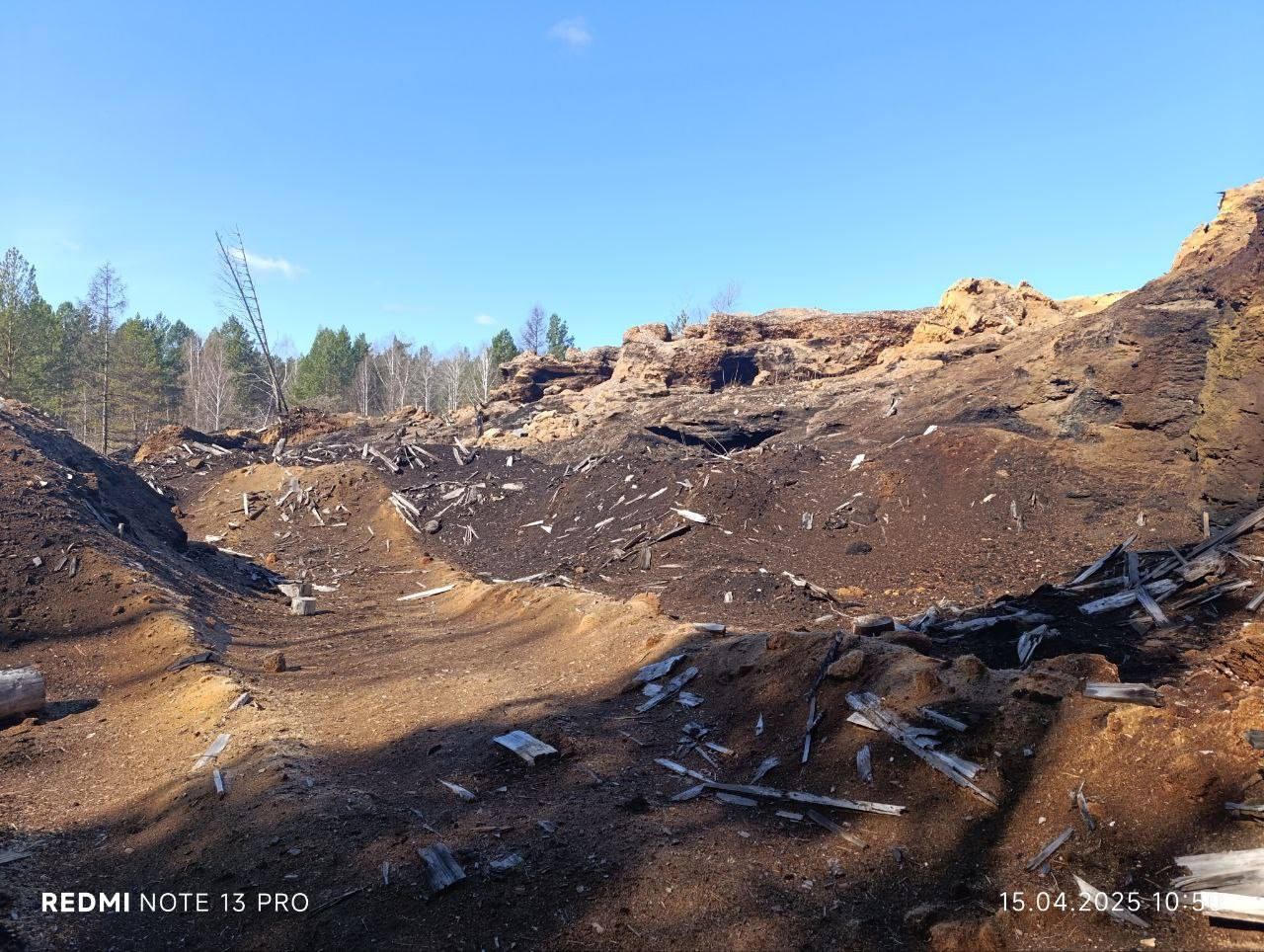Лесопилка массово загрязнила почву в Красноярском крае