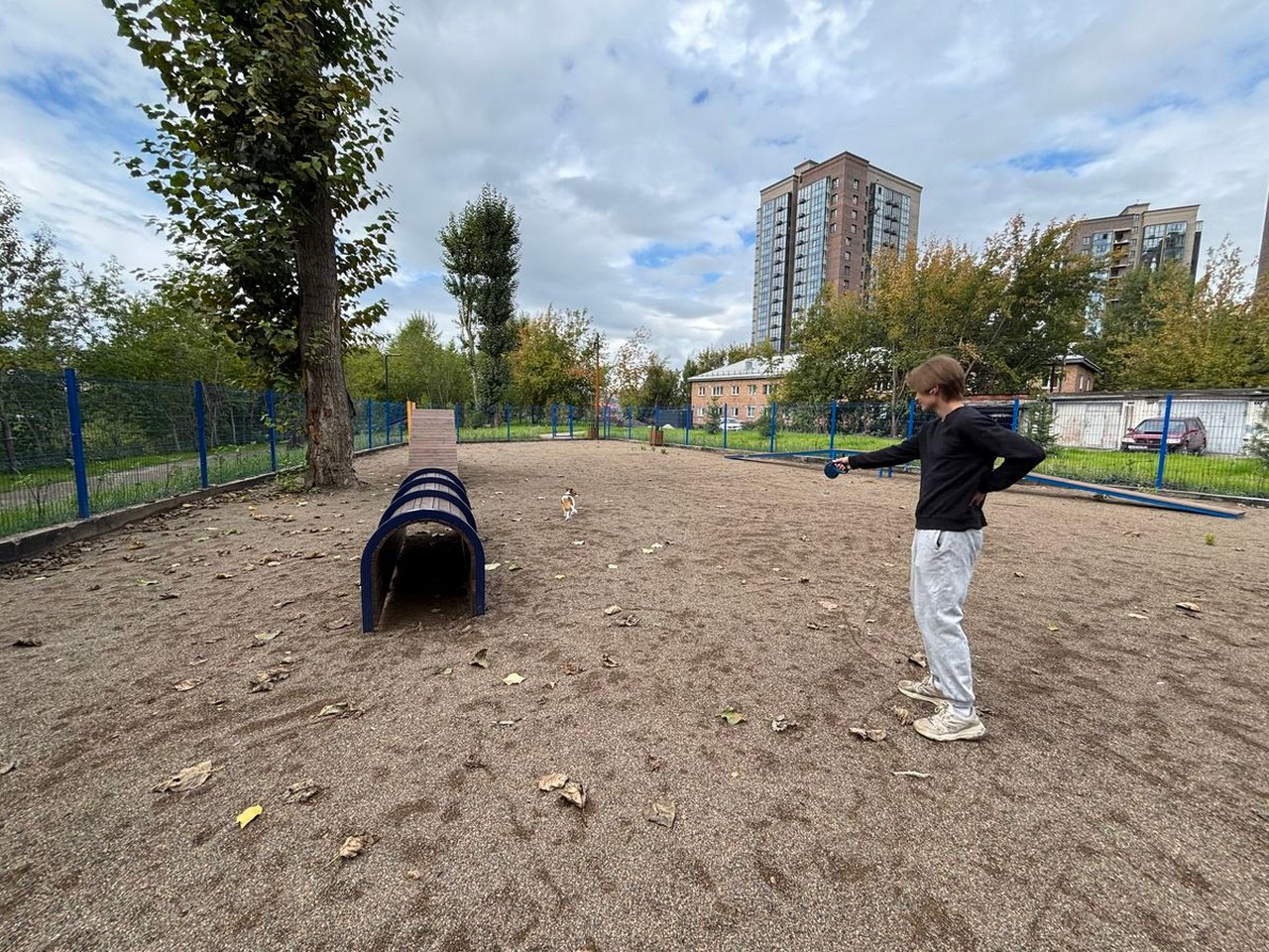 Теперь на Пашенном можно тренировать собак