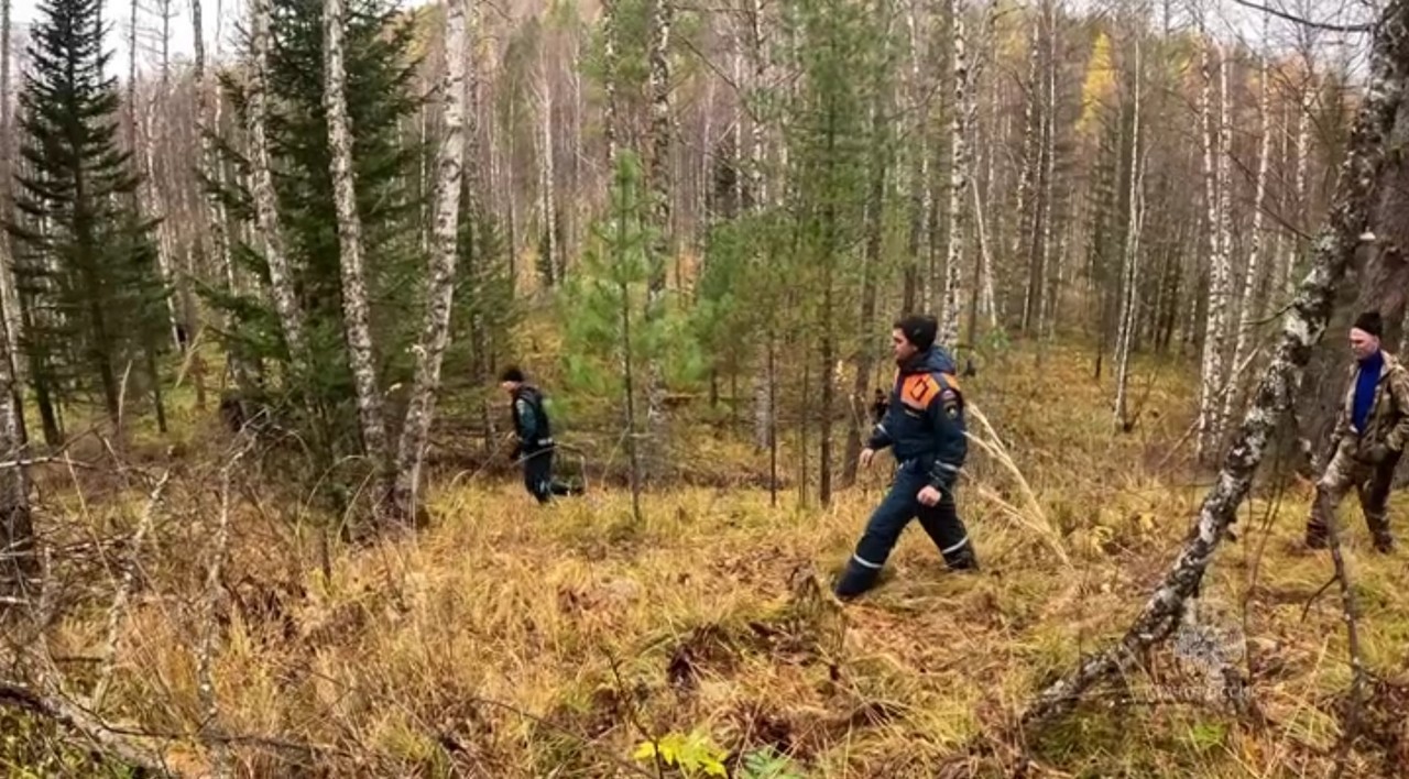 Поиски семьи Усольцевых
