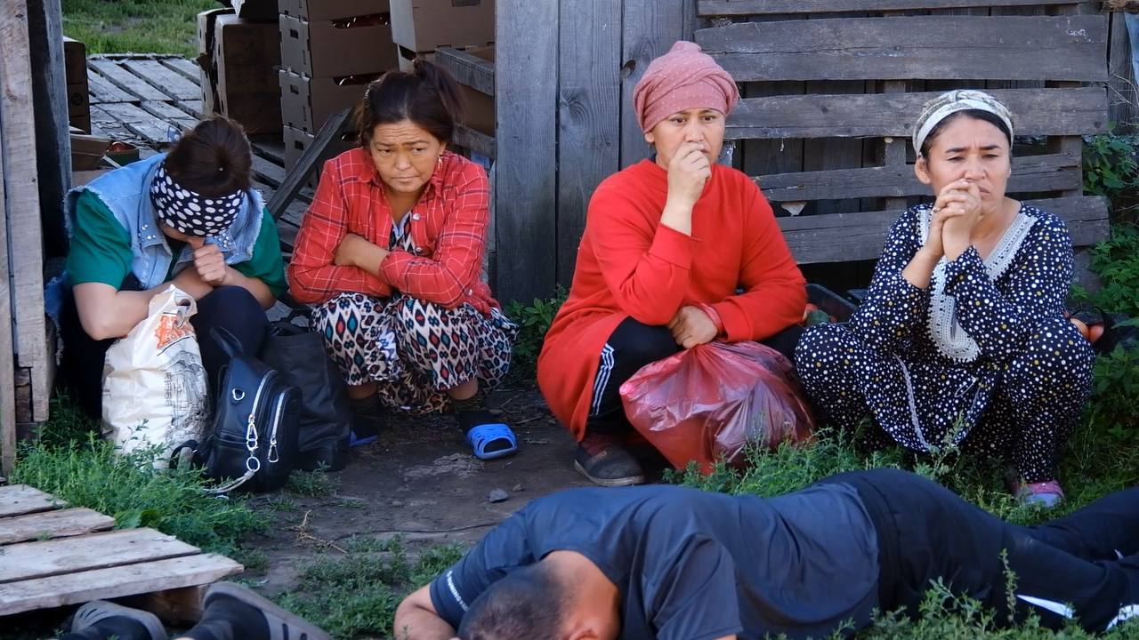 120 мигрантов задержали со спецназом в теплицах под Красноярском