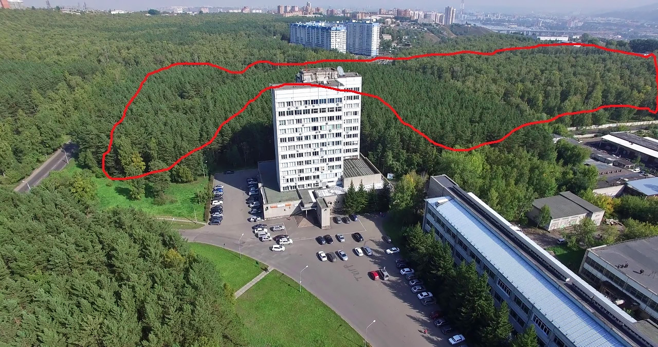Лес за 12-этажкой КНЦ СО РАН