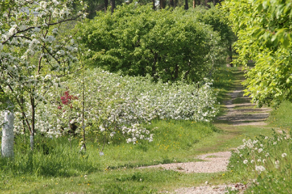 Сад Крутовского на Свердловской