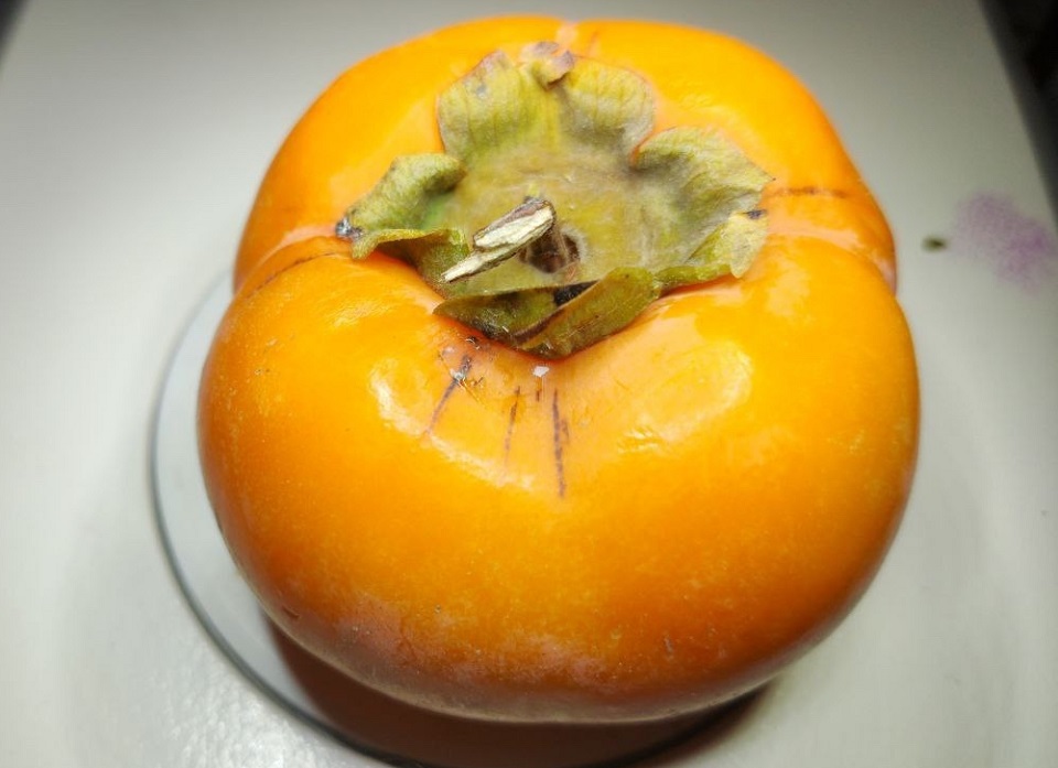 Хурма на проверке