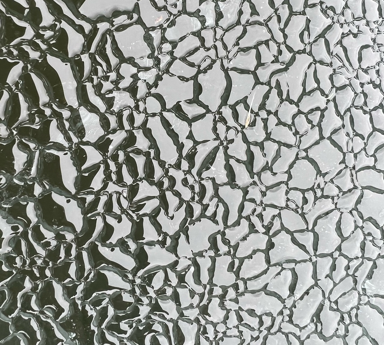 Кожаный лед на озере Тарай