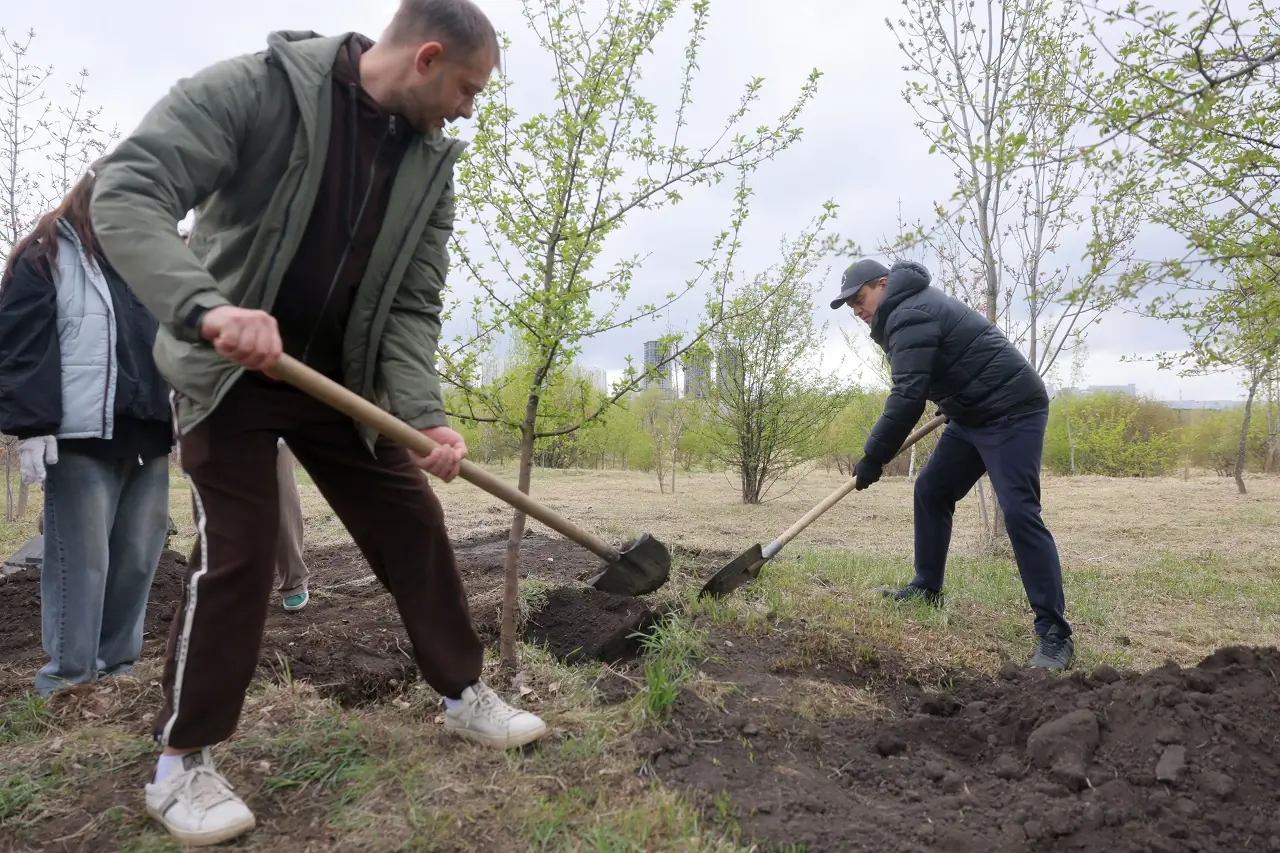 Высадка деревьев на Татышевом