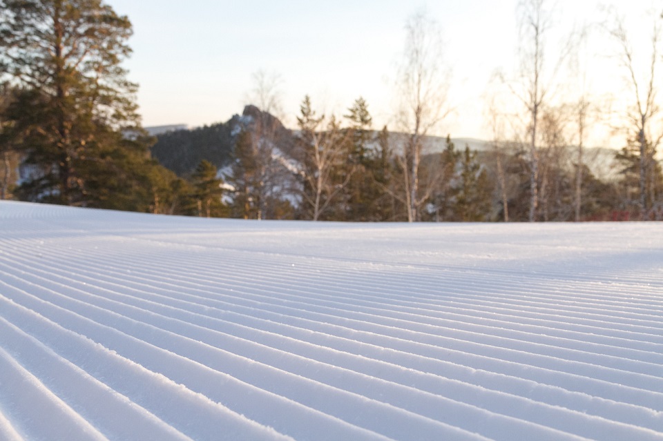 Склоны в "Бобровом логе"