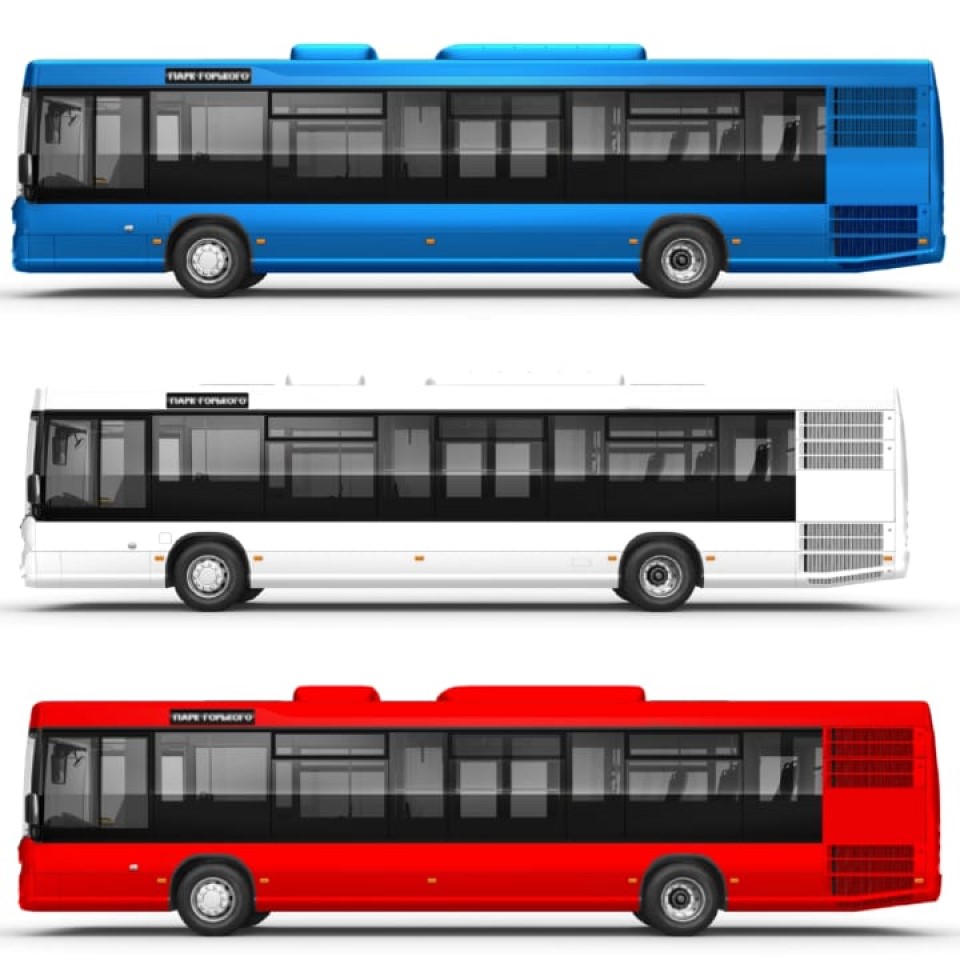 Три цвета автобусов