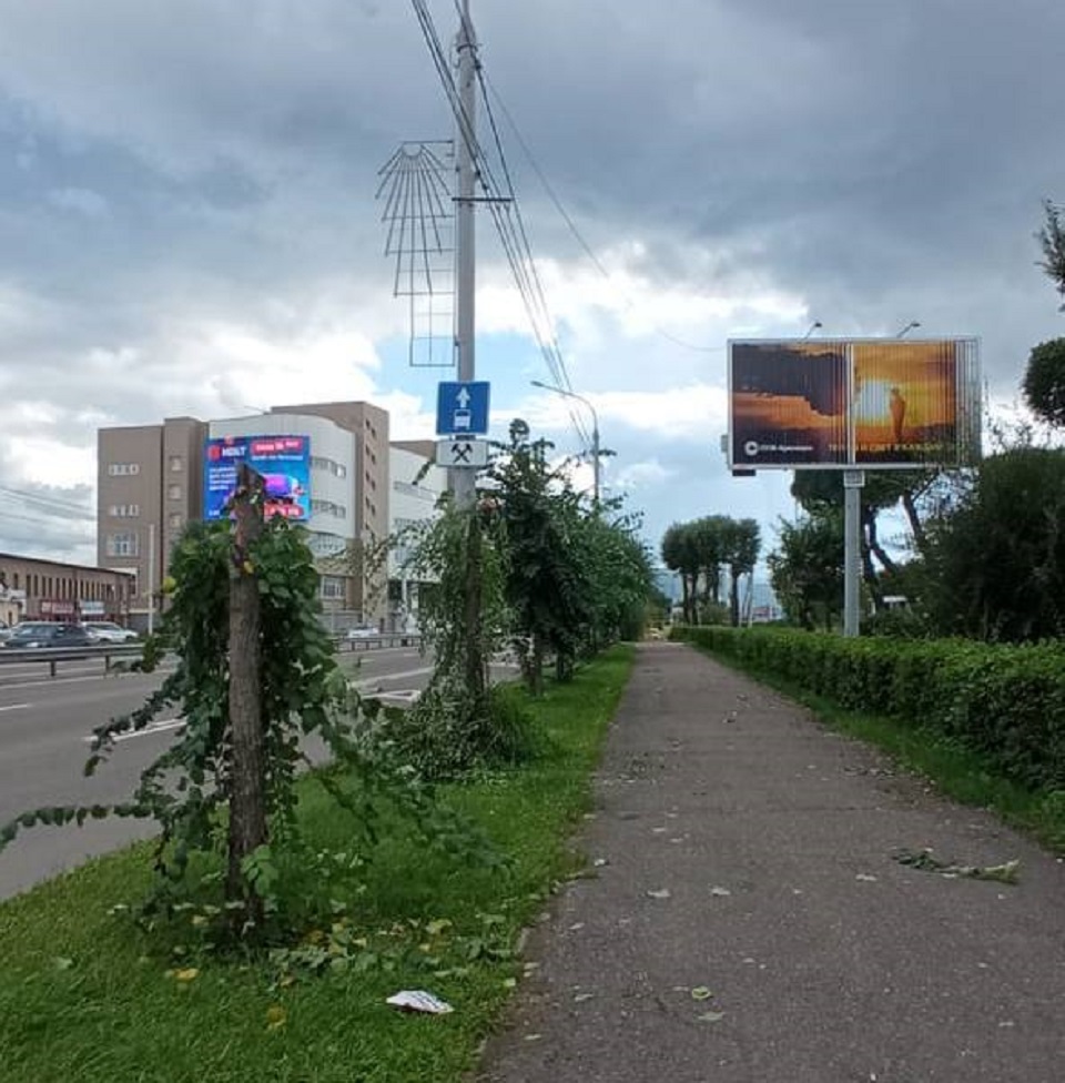 Деревья спилили на Шахтеров