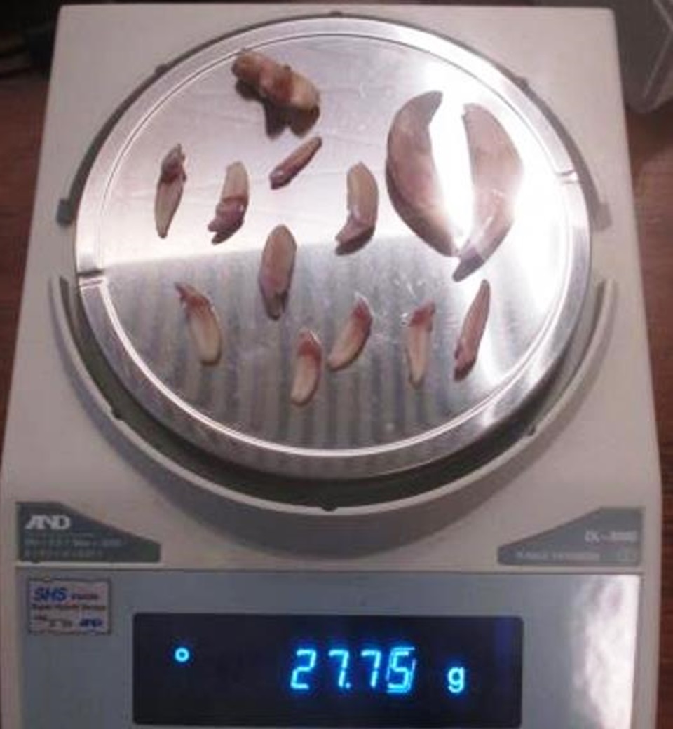 Зубы волка на таможне