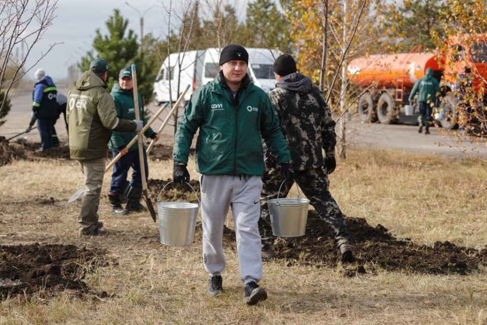 Высадка деревьев, СГК