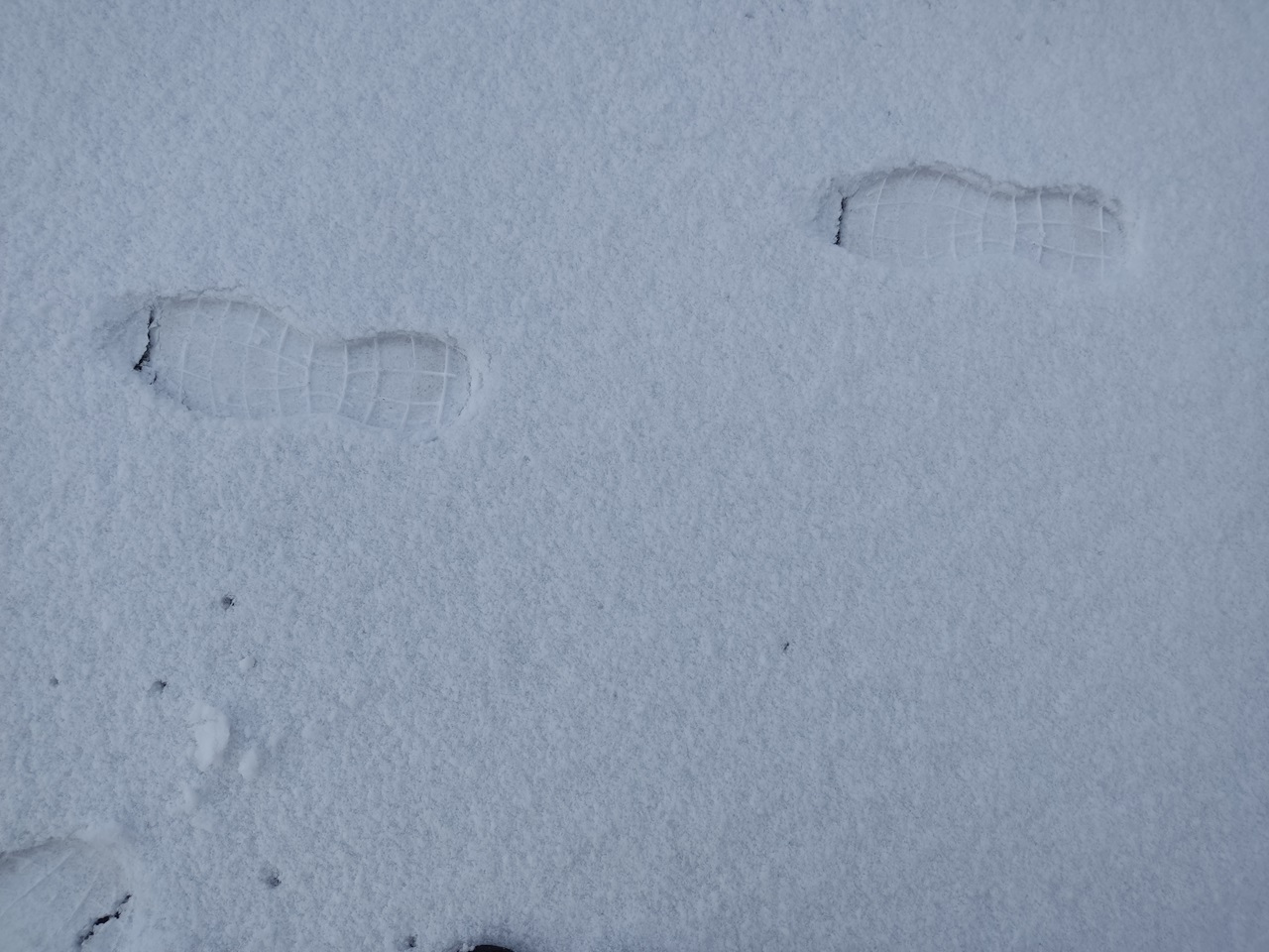 Следы на снегу