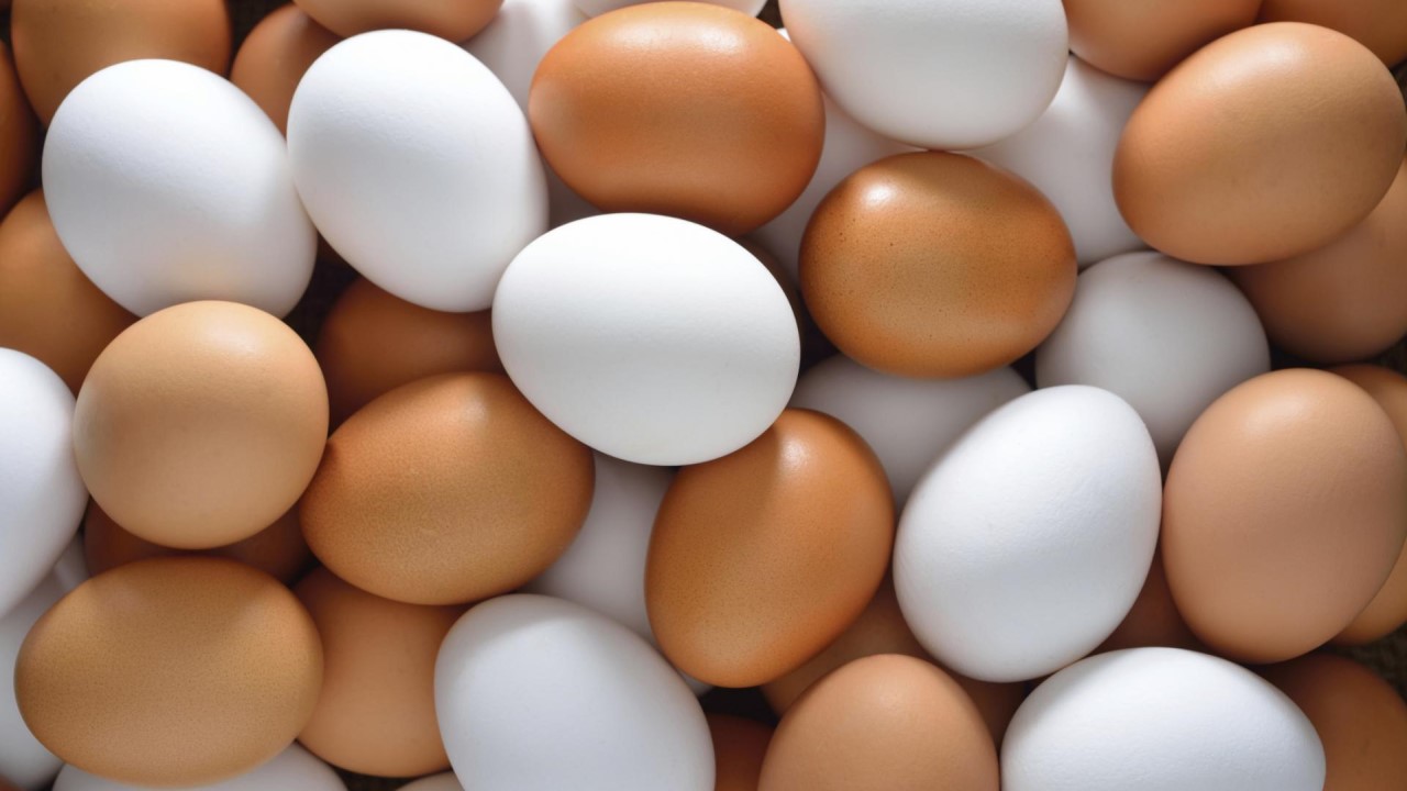 Яйца диетический продукт