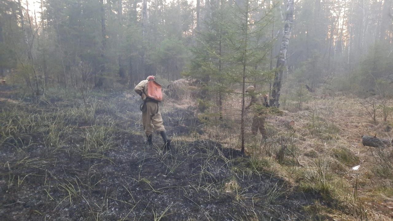 Пожар охватил полгектара леса