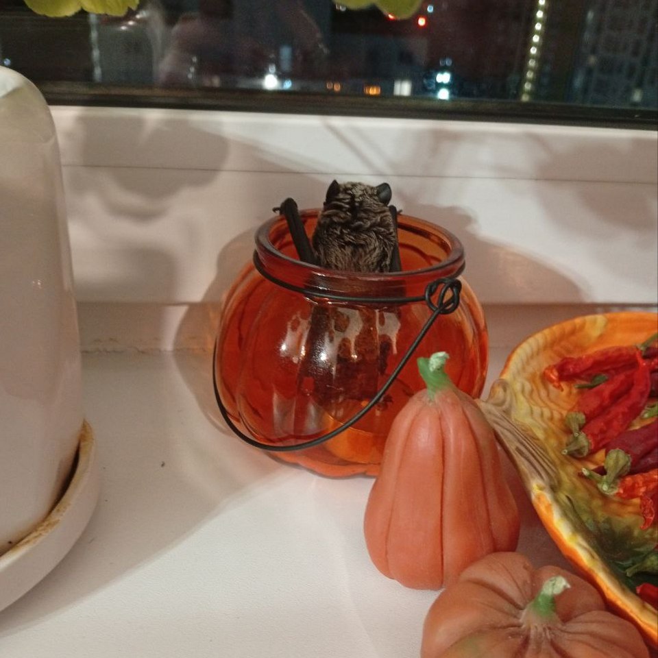 Летучие мыши зимуют при температуре примерно +5 градусов. Но обычно делают это в местах вроде пещер и чердаков